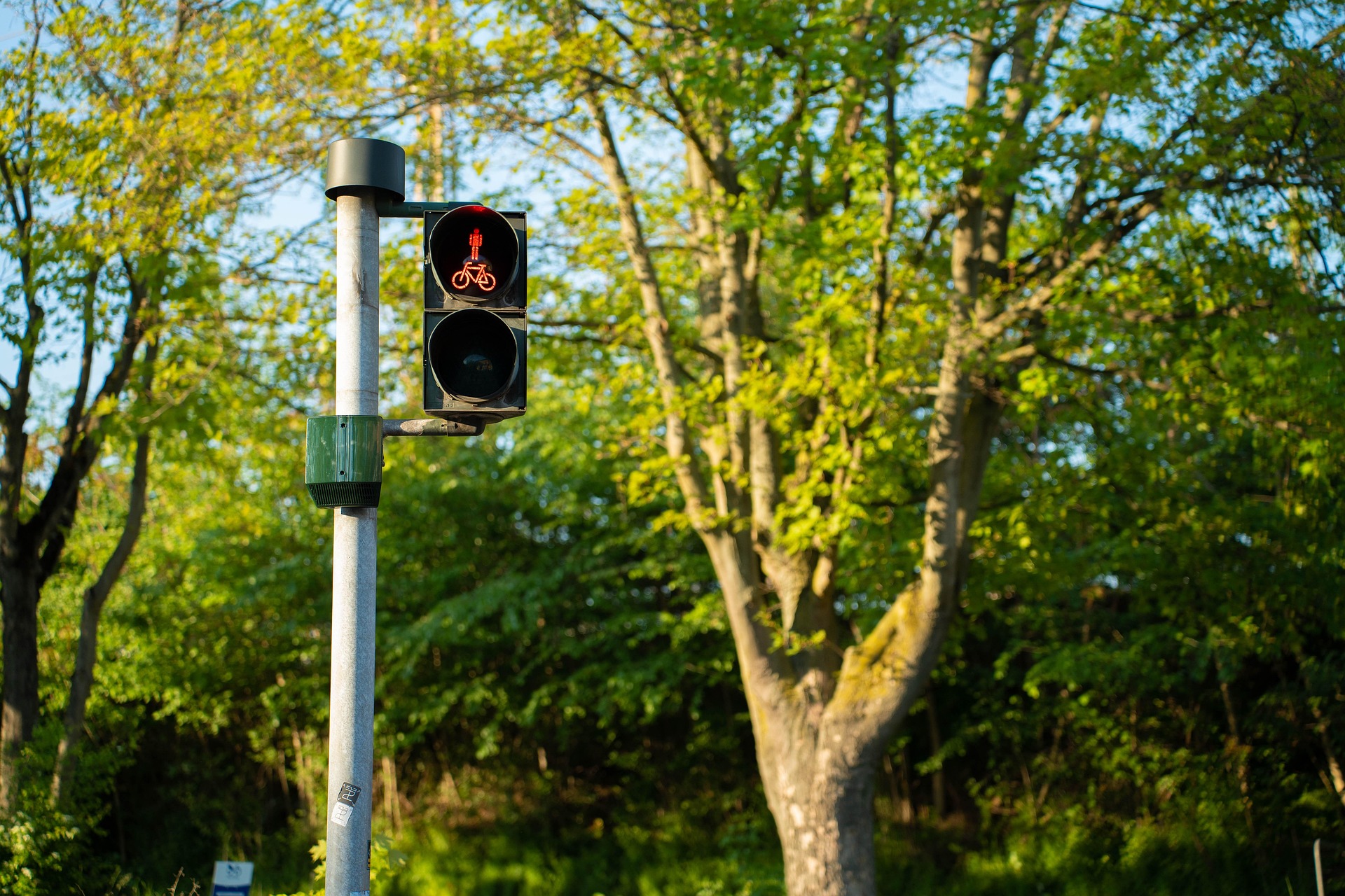 wtargnięcie pieszego na jezdnię analiza sytuacji